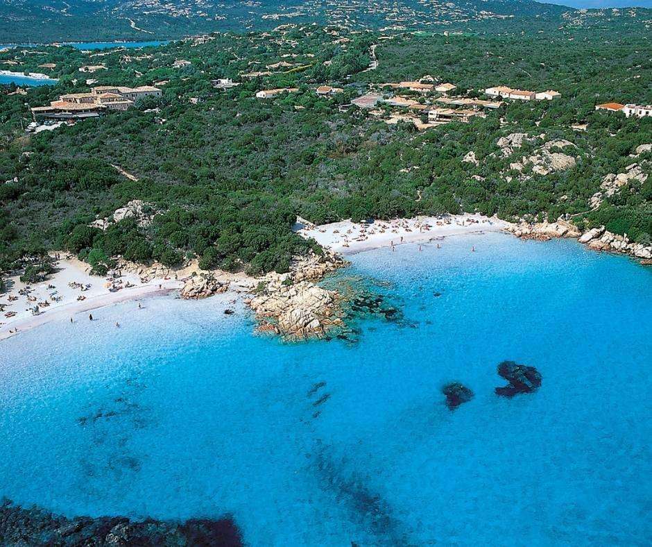 razza di giunco olbia