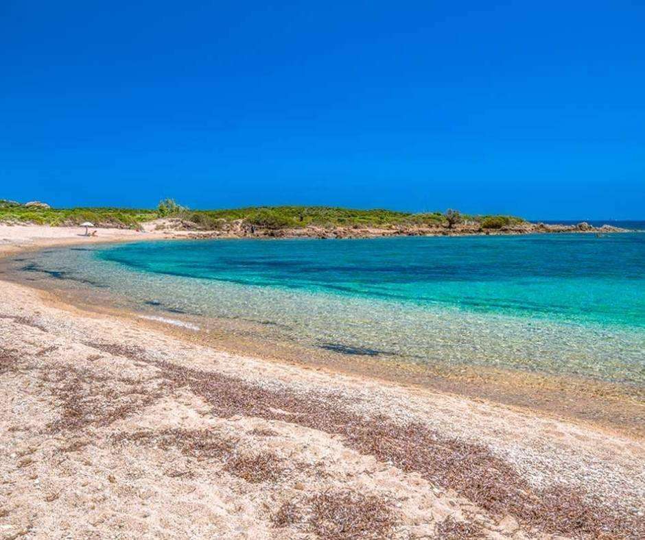 razza di giunco olbia