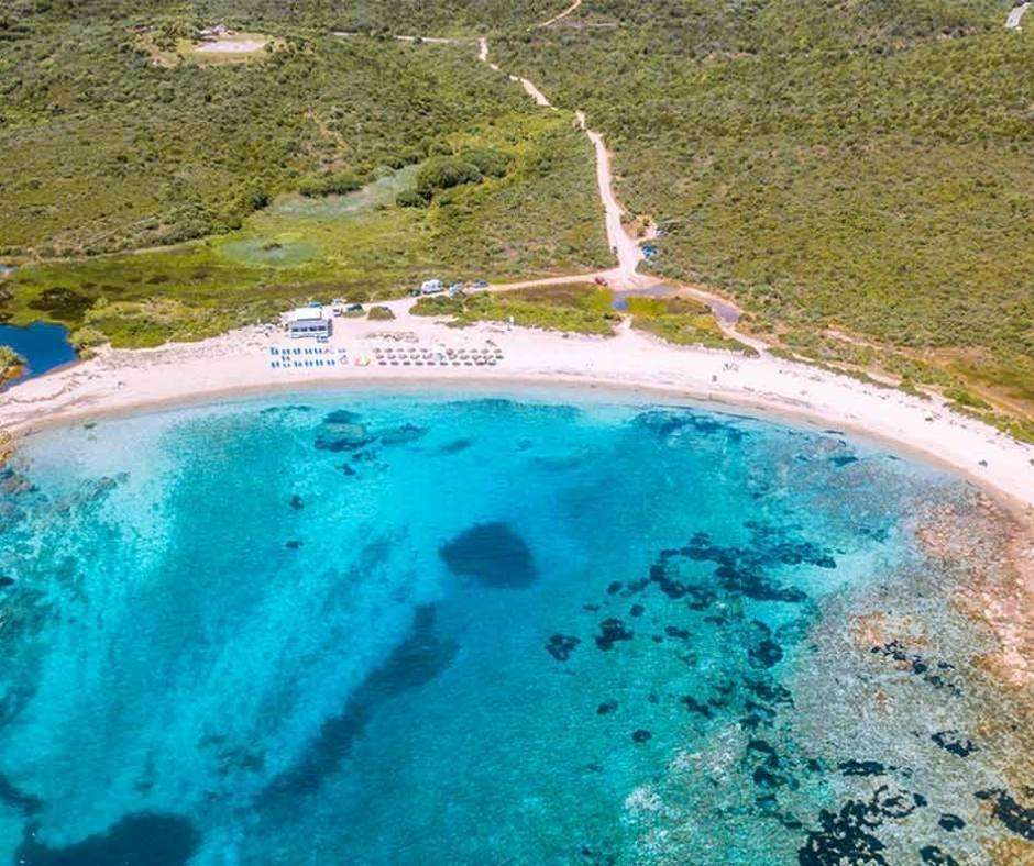 razza di giunco olbia