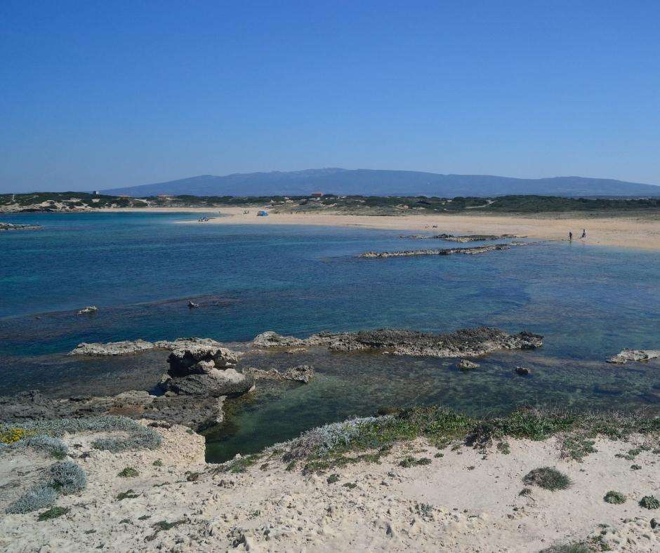 sa mesa longa oristano san vero milis