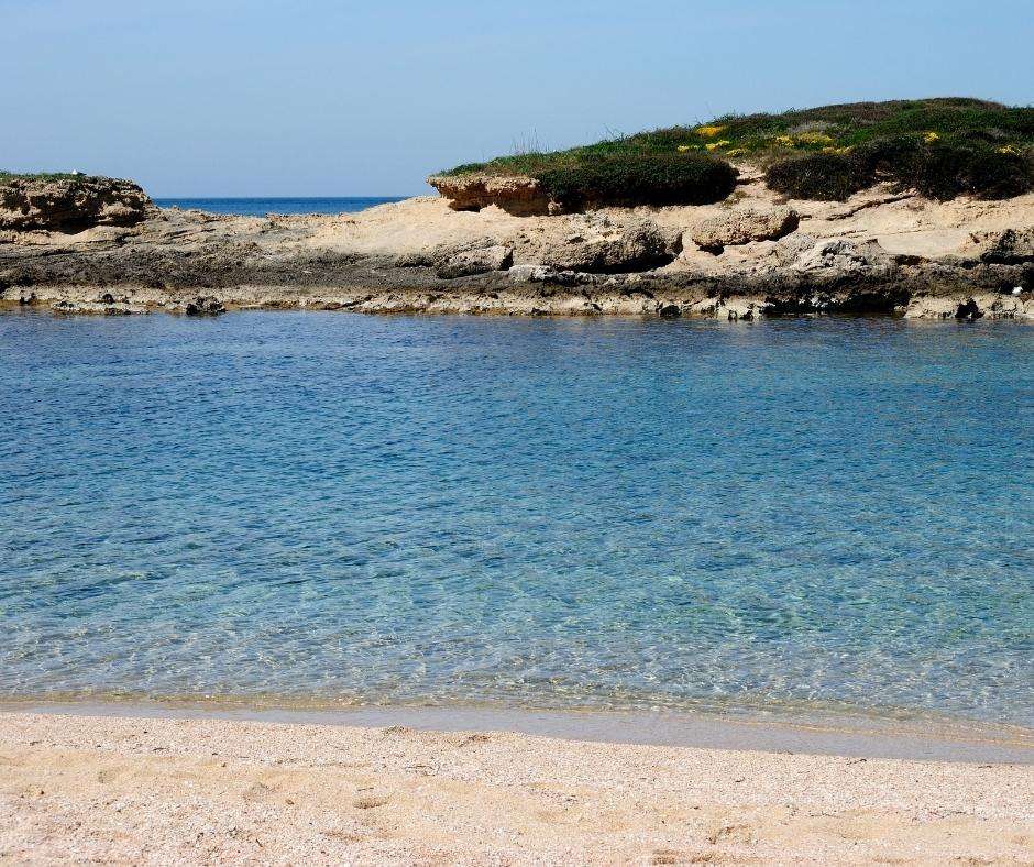 sa mesa longa oristano san vero milis