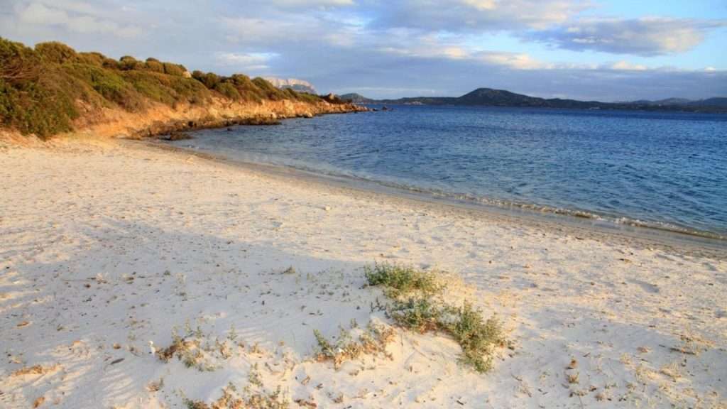 olbia sezione spiagge 3