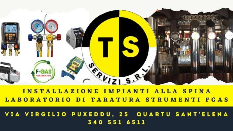 ts servizi srl