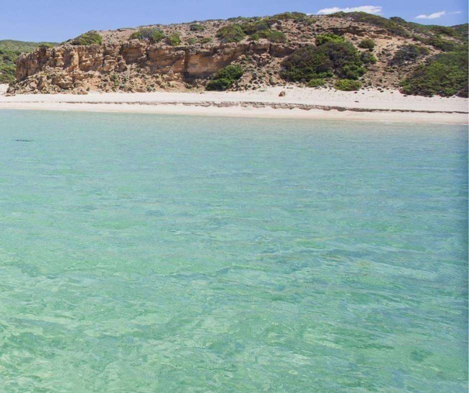 scivu costa verde