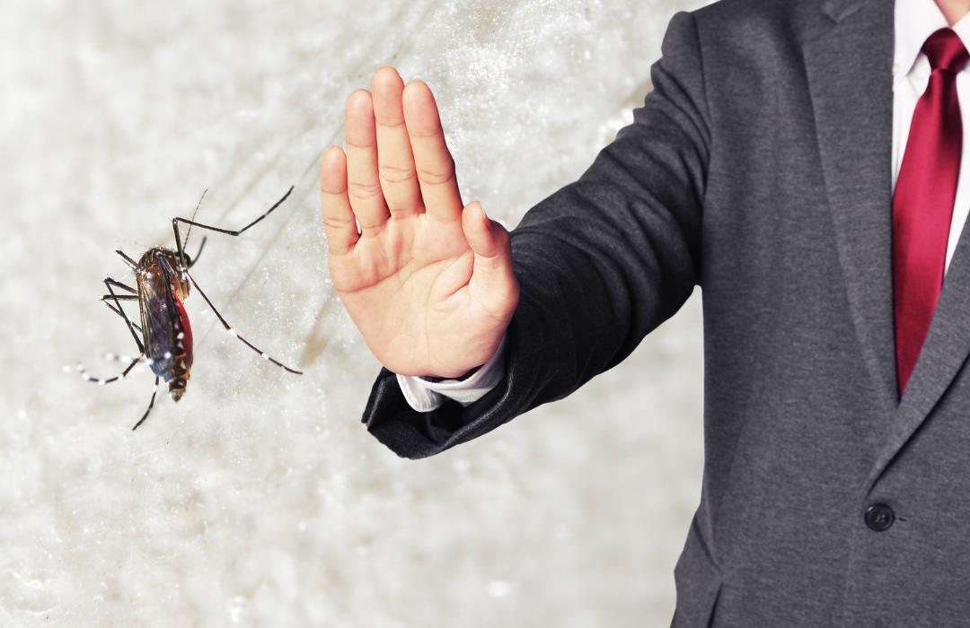 Disinfestazione zanzare
