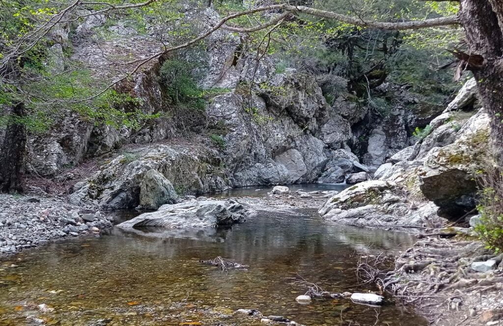 Desulo La Foresta di Girgini a Desulo