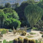 Festa all’Orto Botanico di Cagliari, ingresso gratuito mercoledì 15 novembre
