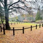 Il Giardino botanico Maidopis, oasi naturale circondata dalla foresta dei Sette fratelli