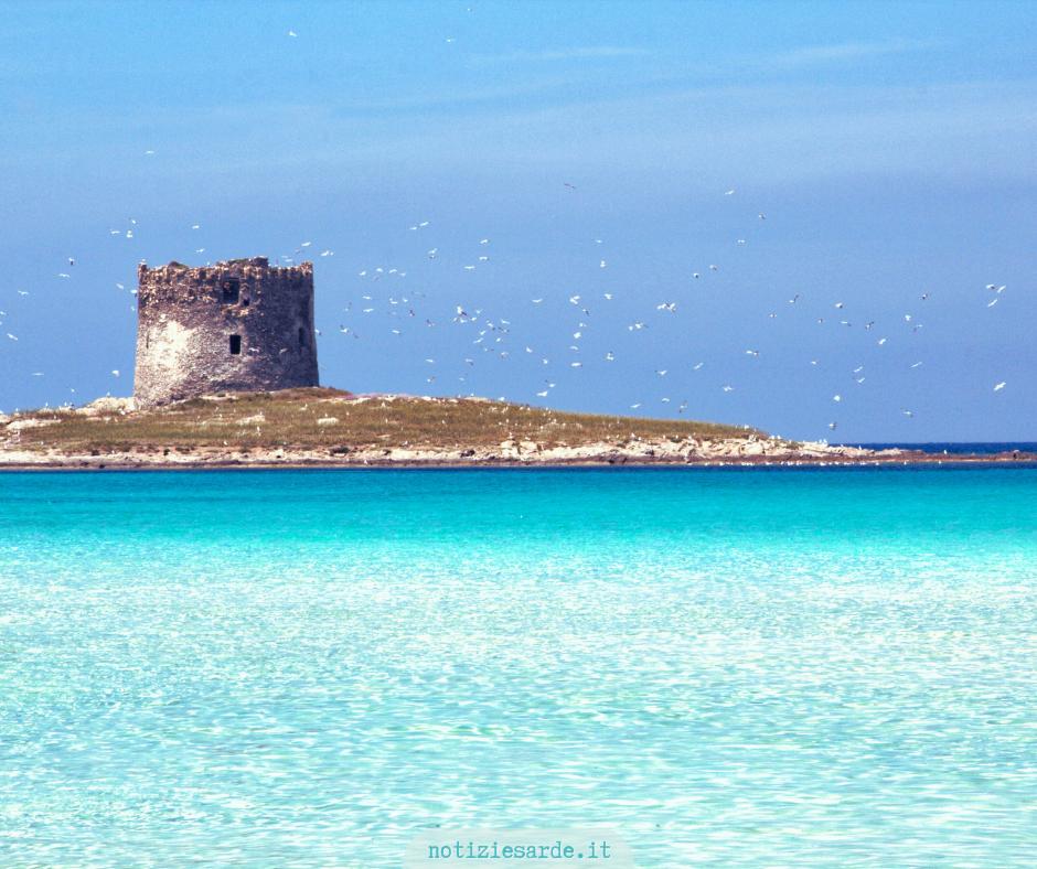 La Pelosa a Stintino - Spiagge più belle in Sardegna