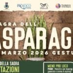 Sagra dell’Asparago 2026 a Gesturi