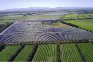 Sardegna, a Serramanna il primo impianto agrivoltaico avanzato ibrido d’Italia